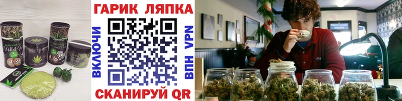 купить наркотик  Яхрома  Печенье с ТГК марихуана 