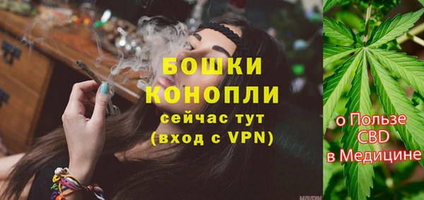 гидра Лихославль