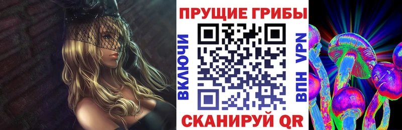 дарнет шоп  Яхрома  Псилоцибиновые грибы Psilocybe 