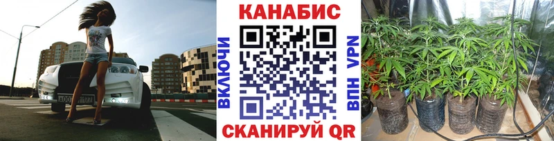 кракен зеркало  Яхрома  Каннабис ГИДРОПОН  где купить  